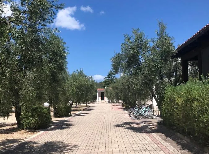 Tenuta Montincello