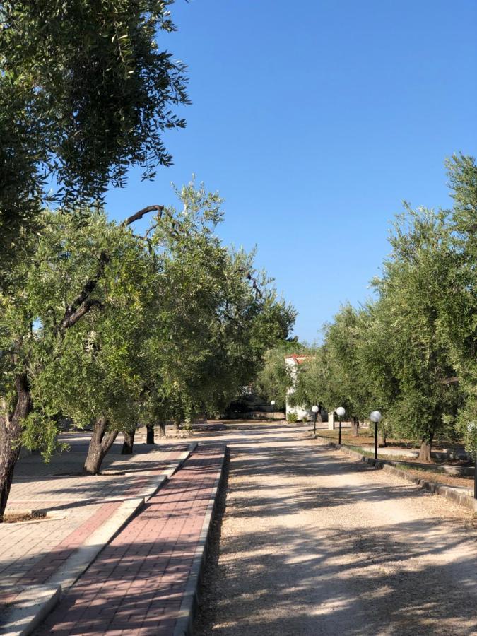 Holiday home Tenuta Montincello