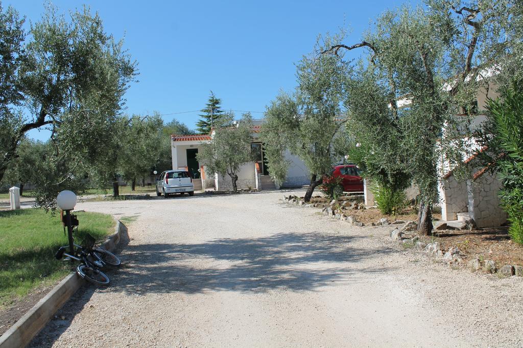 Tenuta Montincello *