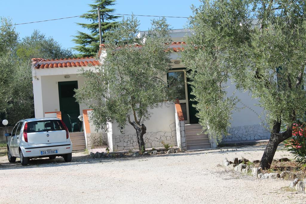 Tenuta Montincello